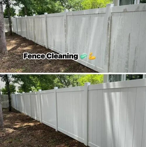 Text Image Frame (10)