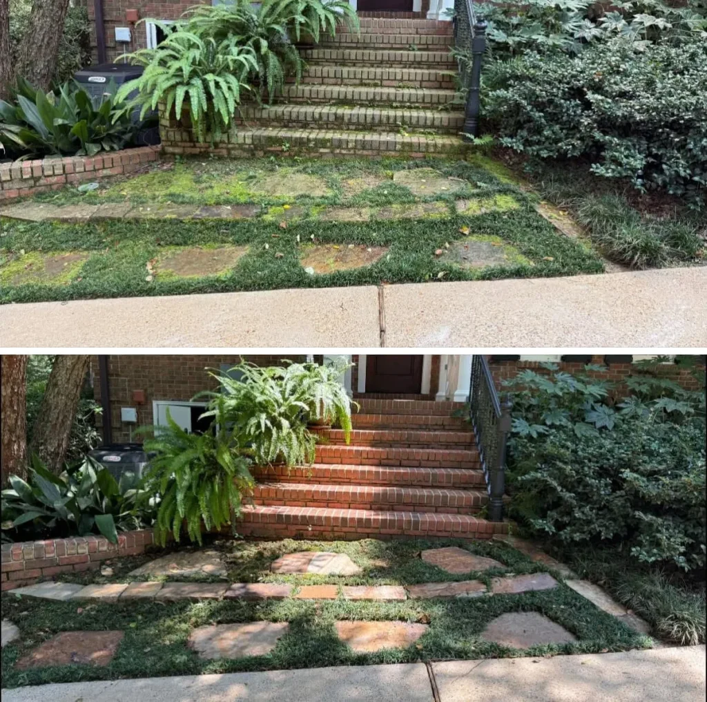 Text Image Frame (5)