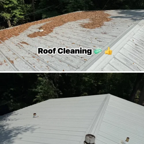 Text Image Frame (9)